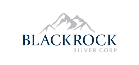 Blackrock Silver Corp. Company Logo